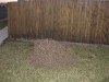 biggest-tumbleweed-ever-in-our-front-yard.jpg