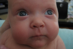 11 weeks